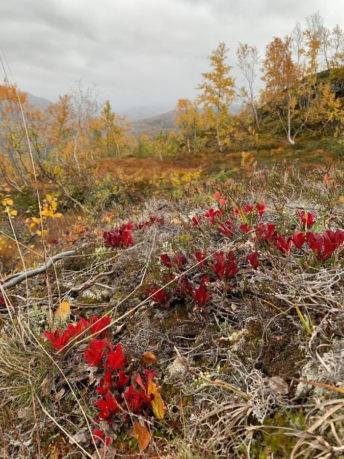 Hytto Villa Horre Eksteriør bilde