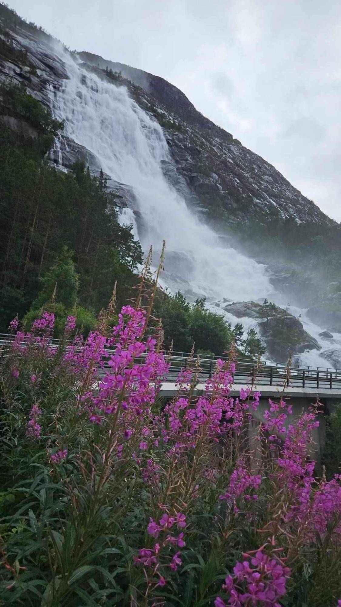 Hytto Villa Horre Eksteriør bilde
